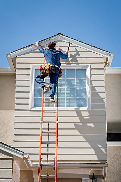 Best Stone Veneer Siding  in Oakwood, IL